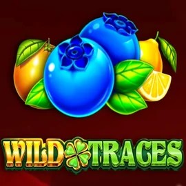 Try Wild Traces slot by Amusnet Interactive on caseaacasino.com – logo image